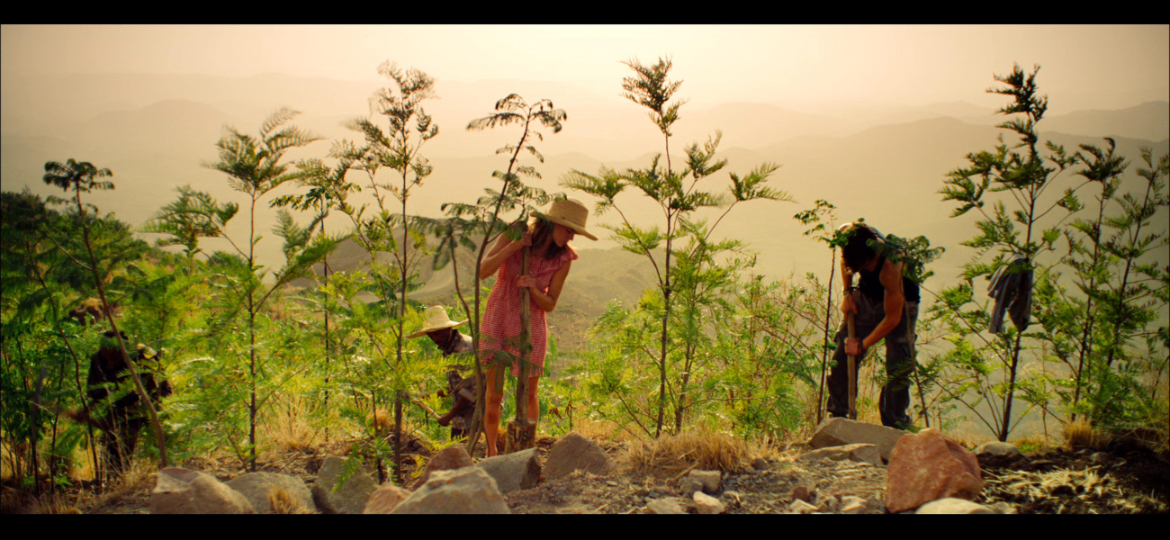 DTBW_JPEG-20-minCROP