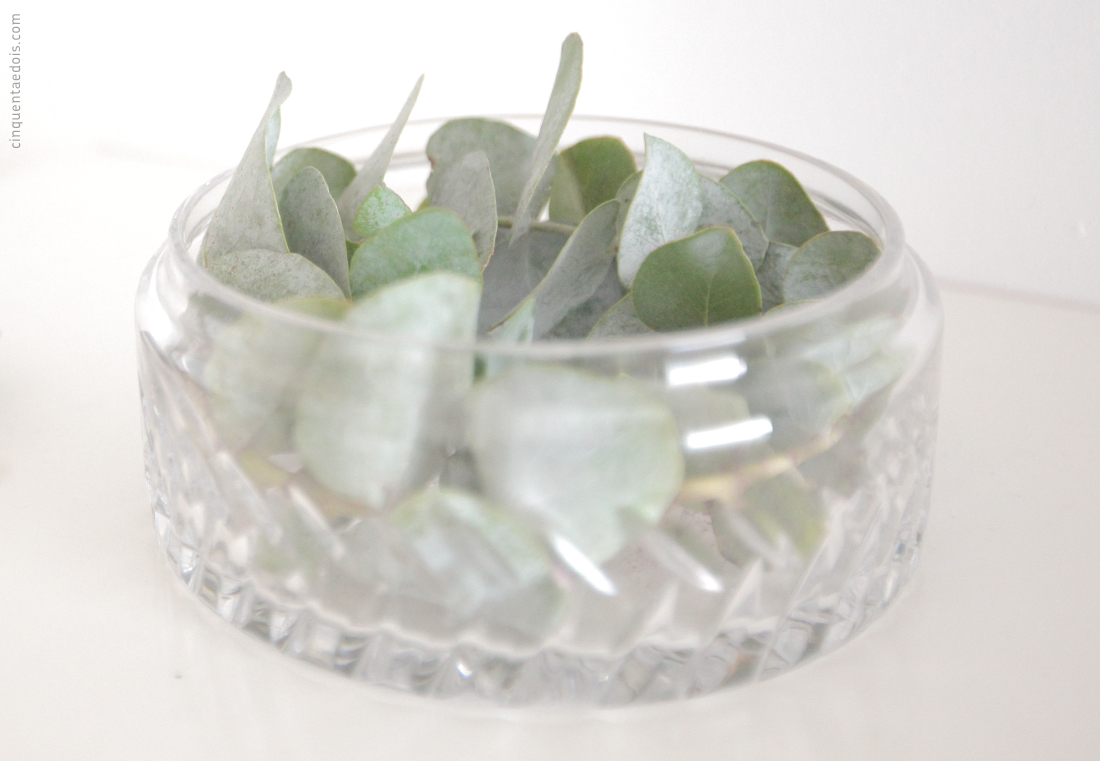 eucalyptus_3
