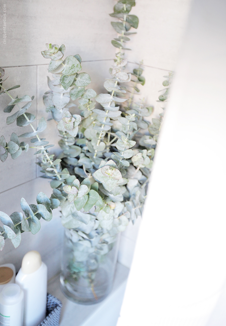 eucalyptus_6