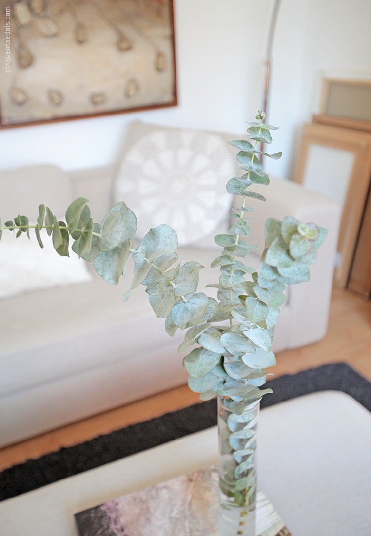 eucalyptus_7